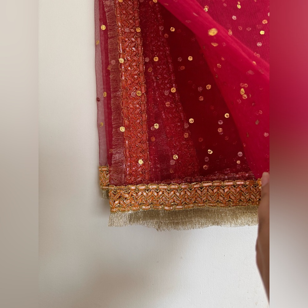 Fancy Net Dupatta - image 4